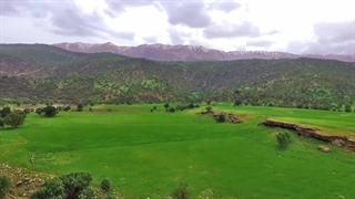 نگین درخشان شهرکرد