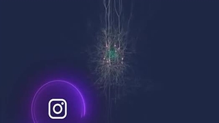 whay are the frequencic products beneficial?