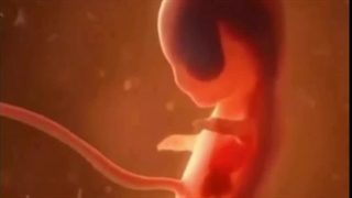 ابالفضل طی ۹ ماه تو شکم مامانش در ۳۰ ثانیه