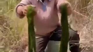 اشپزی با مراد کمباد قسمت 1