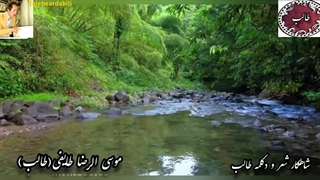 دکلمه شعر احساسی و عاشقانه مهمانی | آوای عاشقی شاعر طالب فرزند ایران