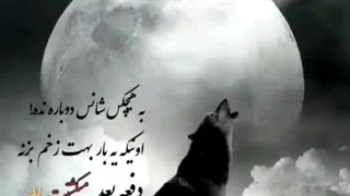 استوری جذاب جدید