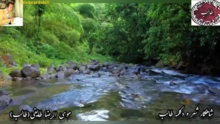 دلبر فتانه | شعر. نسیم خیال آفرین شاهکار طالب|فرزند ایران