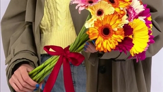 ژربرا گلی شبیه آفتابگردان !