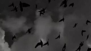 ⅅᎯℛᏦ Ꮙℐℬℰ