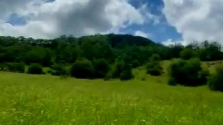 سفر به جنگل مکیدی کلیبر آذربایجان شرقی