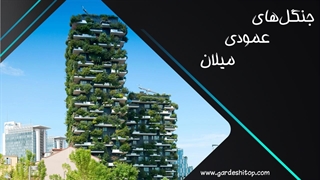 لحظات خیره کننده از جنگل عمودی میلان
