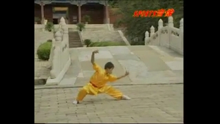 فرم میمون مست