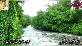 طالب خوانی شاعر | دلبر فتانه از اشعار محبوب طالب آذربایجانی