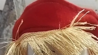 جالب و سرگرمی-چالش هرچی گفتم رو تکرار کن