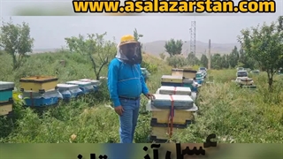 خرید عسل طبیعی در کرج