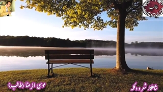 غزلیات بی بدیل طالب اردبیلی | شاهکار دکلمه حورا سادات علویان | غزل فریبا نقل عاشقی من