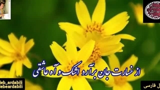 کلیپ عاشقانه از غزلیات طالب اردبیلی | غزل ماندگار مؤمن چشمان خیسم باش | شاهکار دکلمه سحر آقا کریمی