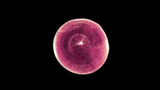 نانو پلاسمونیک(افشین رشید)