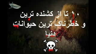 ۱۰  مرگبارترین و خطرناکترین حیوانات جهان