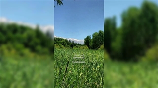 روستای بیان