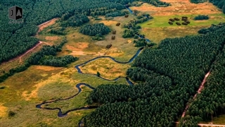 13 خانواده مشهور که جهان رو کنترل میکنند - خانواده تاریک | JABEYE ASRAR