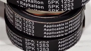 تسمه1253 دینام tu5رایکالتون آلمان