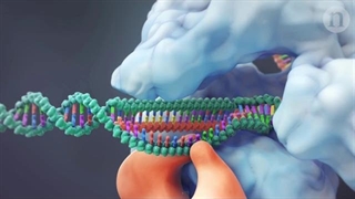 ویرایش ژن با سیستم CRISPR و فراتر از آن