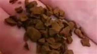 انواع قهوه فروشی