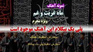 آهنگ محرمی ماه غربت وغم ویژه سرود