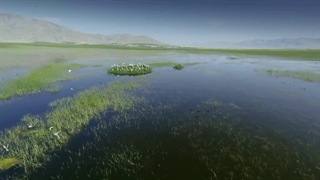 زیبایی های دیار زردکوه