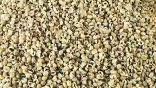 خرید و قیمت انجیر پرک استهبان قیمت عالی