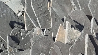 قیمت سنگ لاشه سنگ ورقه ای مستقیم از معدن