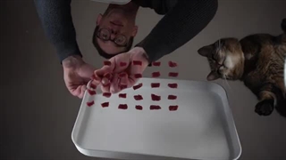 Cat ASMR | raw beef