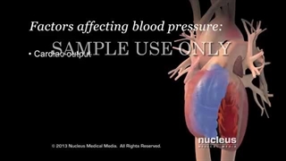 فشار خون بالا | فشار خون