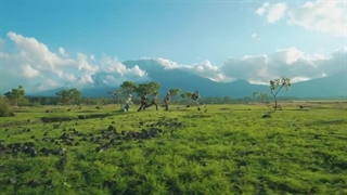 موزیک ویدیو sugar rush ride از تی اکس تی(txt)