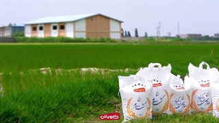 کاویش- مرکز معتبر خرید برنج و سوغات شمال