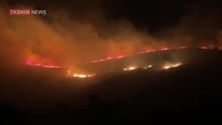+آتش_سوزی+مهیب+در+اطراف+شهرک+صهیونیستی گلبول در جنین