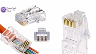 سوکت و وظایف آن چیست