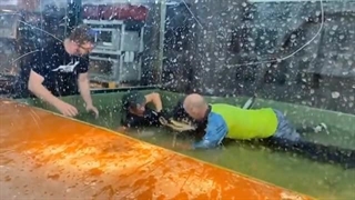 حمله تمساح به یک کارمند باغ وحش در قفس