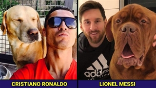حیوانات خانگی فوتبالیست های معروف دنیا