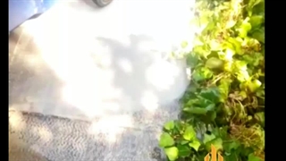 خدمات کفسابی و سنگسابی یران لند 09125878804