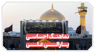 نماهنگ یارالی علی