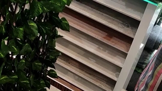 فنس چمنی یا فنس آکاردئونی