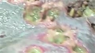 بعداز۷روز زنده‌شده‌توی‌قبر‌وکرمهابدنش‌روخوردن.