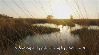 نابودی اعمال نیک، بواسطۀ حسادت(آیت الله العظمی مظاهری)