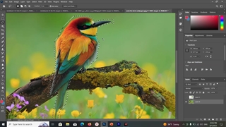 کلاس نوجوانان فتوشاپ جلسه سوم