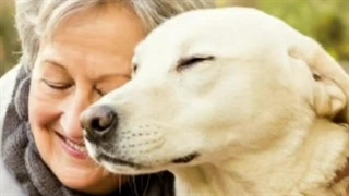 خانه ای شبیه باغ وحش 1