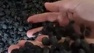 مویز بدون هسته لوکس