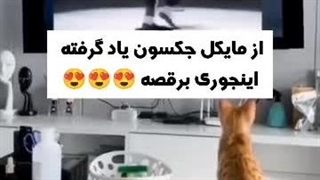 پیشی جکسون ⁦>⁠.⁠<⁩