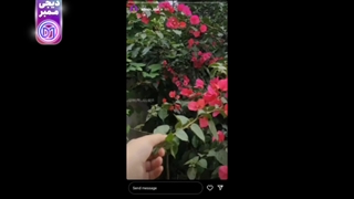 لایک استوری اینستاگرام چیست؟