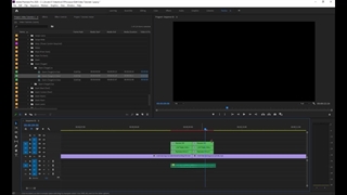 آموزش استفاده از ترانزیشن های پریمیر Massive Transitions
