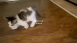 عه پدرگوربا چرا ناراحتی؟:)