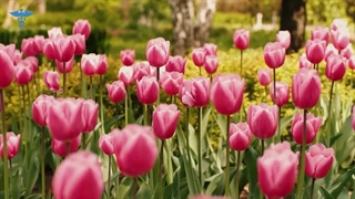 کایٔنات از این رفتارها متنفره