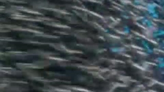 افسانه پوزیدون